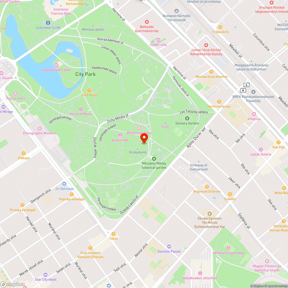 szánkódomb a Városligetben bejelentés helye