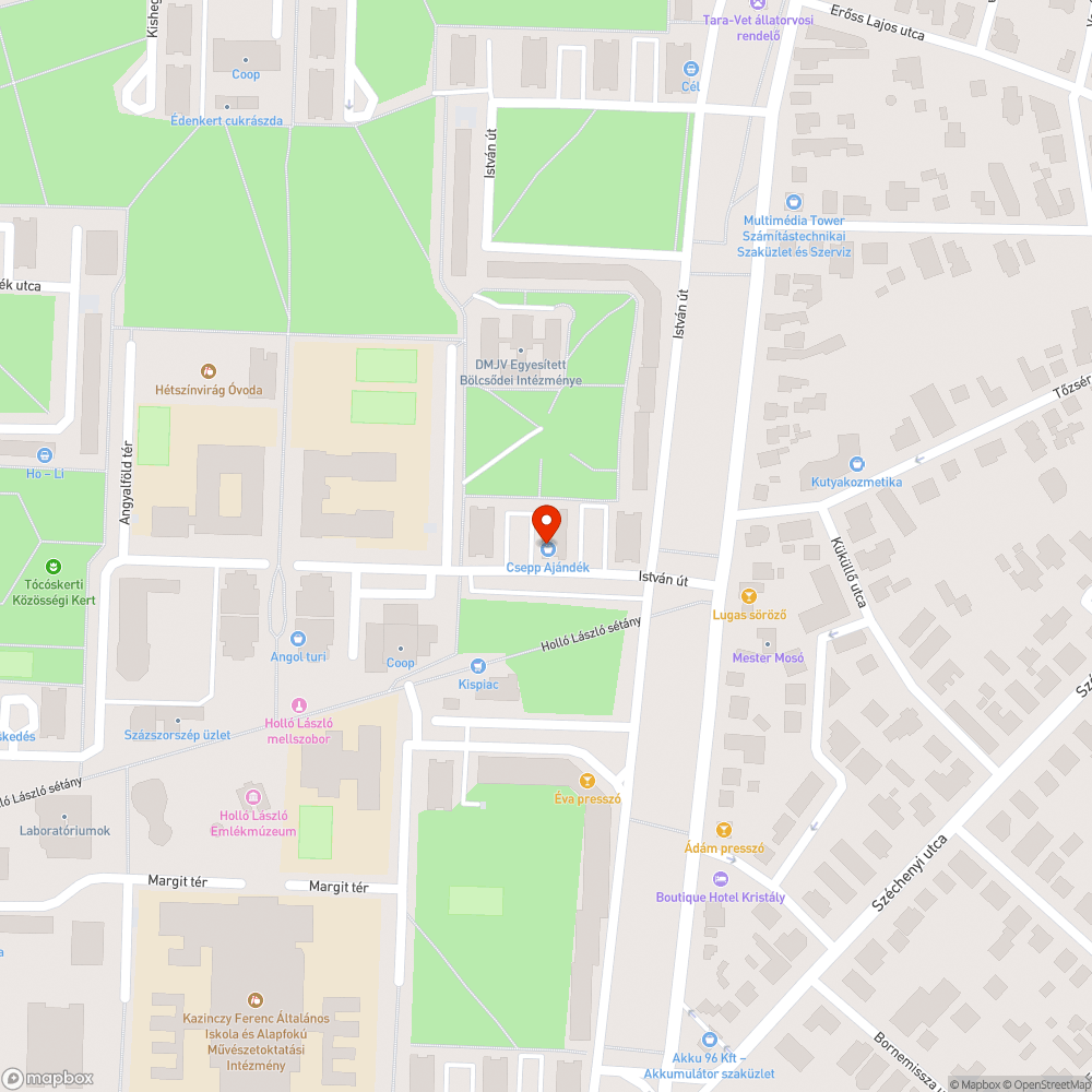 Eldugult víznyelő bejelentés helye