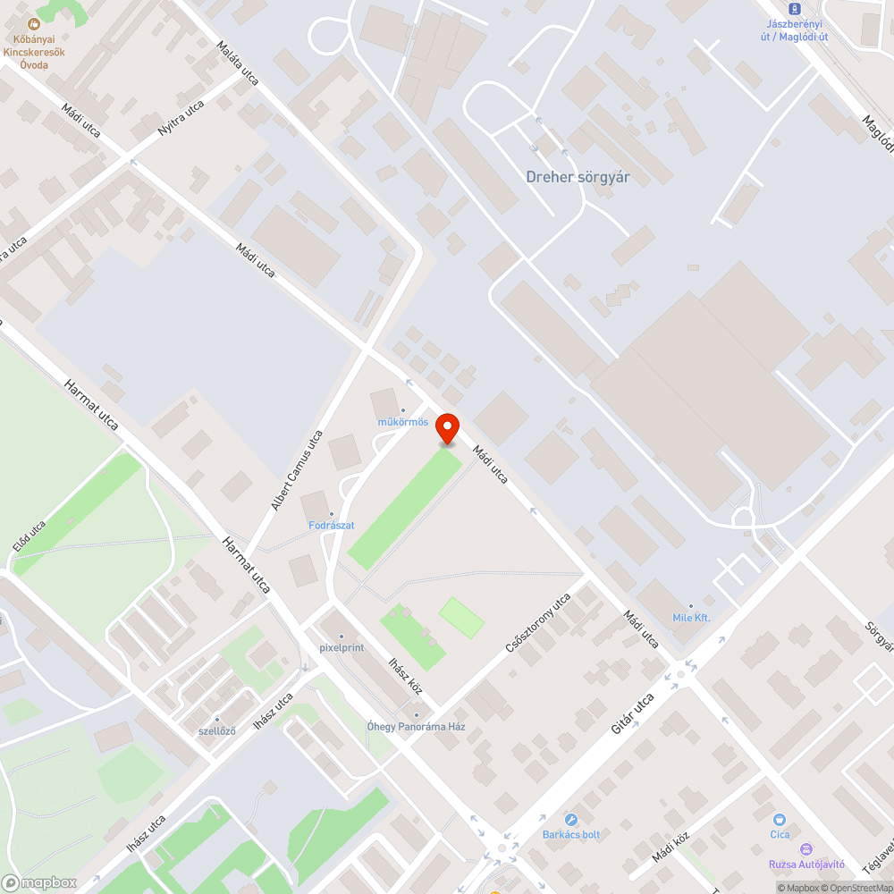 Katasztrofális állapot kutyafuttatóban bejelentés helye