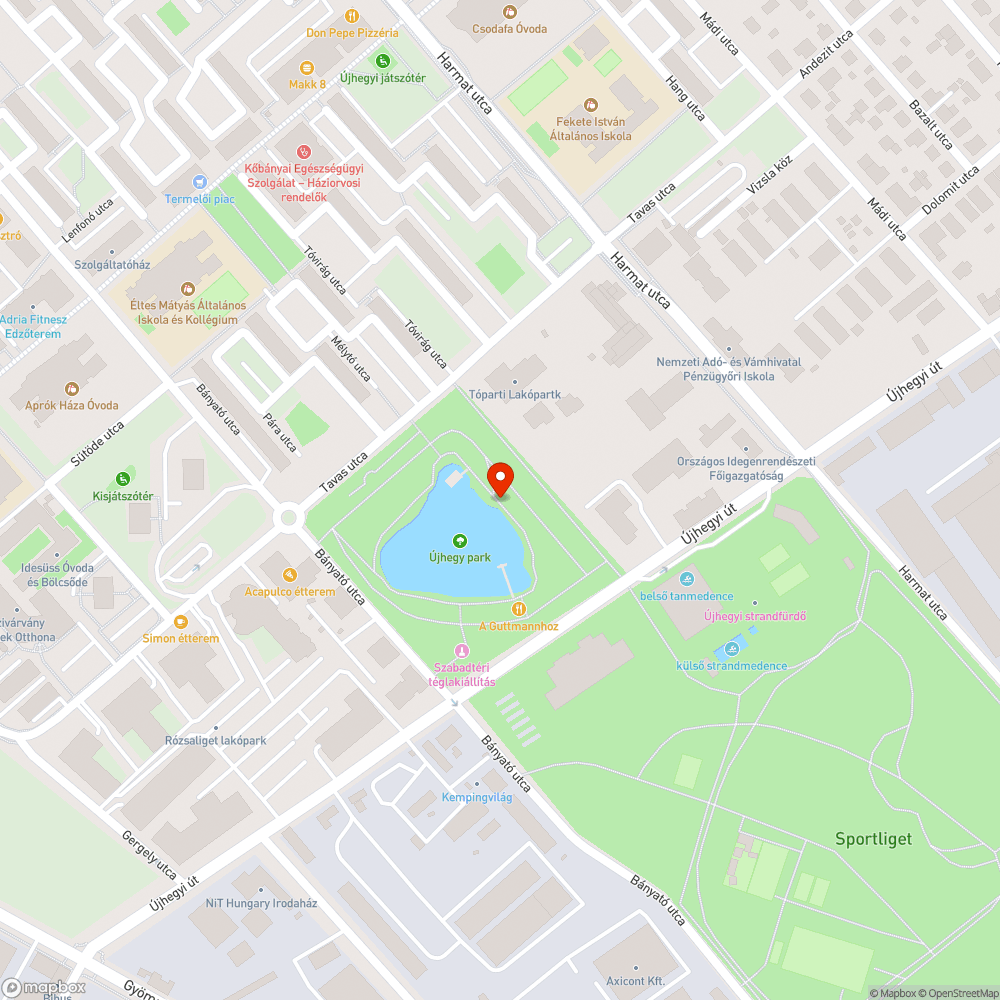 Hatalmas leszakadt faág bejelentés helye