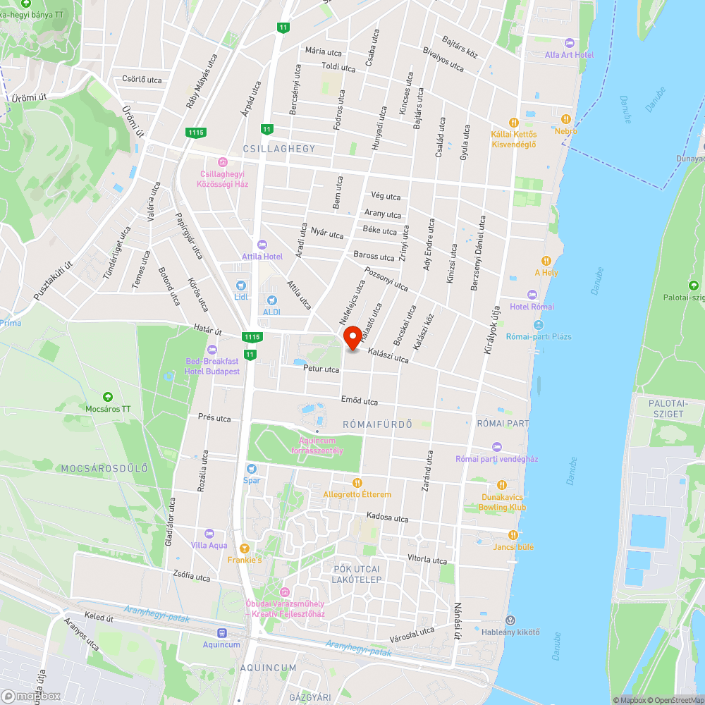 Életveszélyes faág a vezetéken bejelentés helye