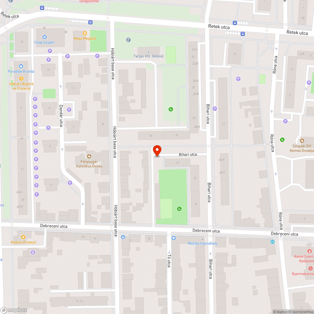 Kiszáradt facsemeték - Bihari utca 22. bejelentés helye