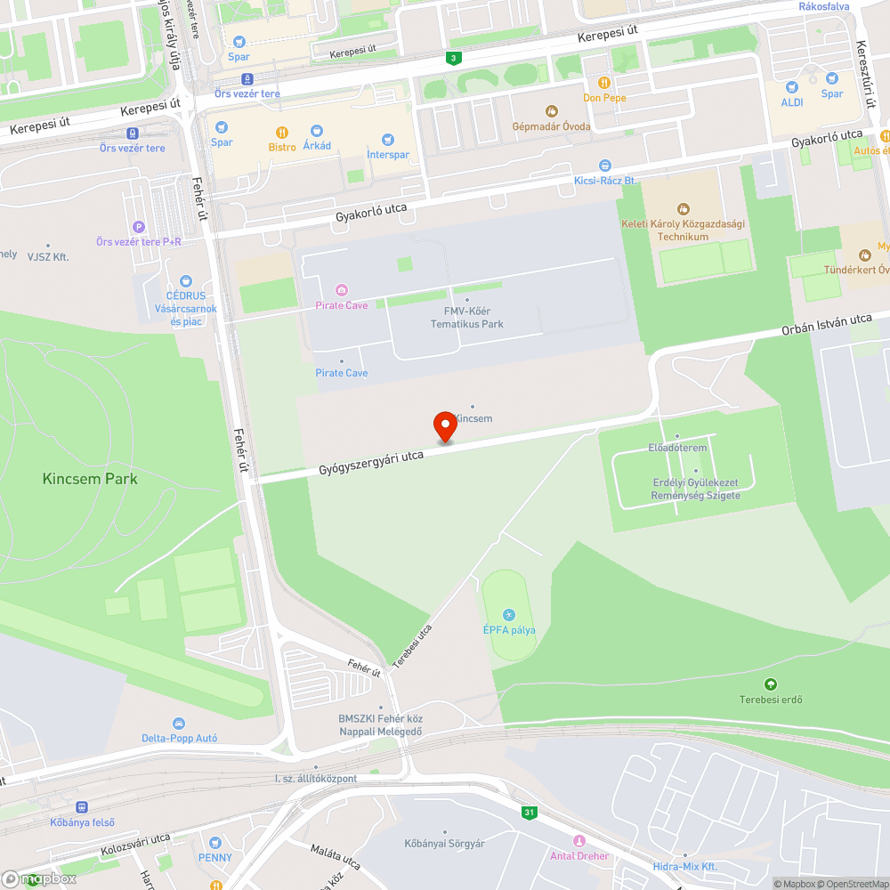 Elütött macska bejelentés helye