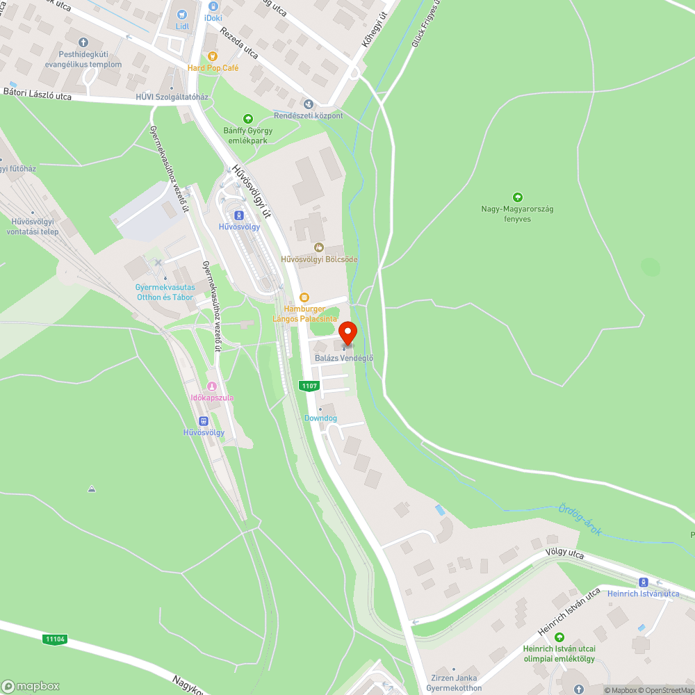 Eltömődött víznyelő bejelentés helye