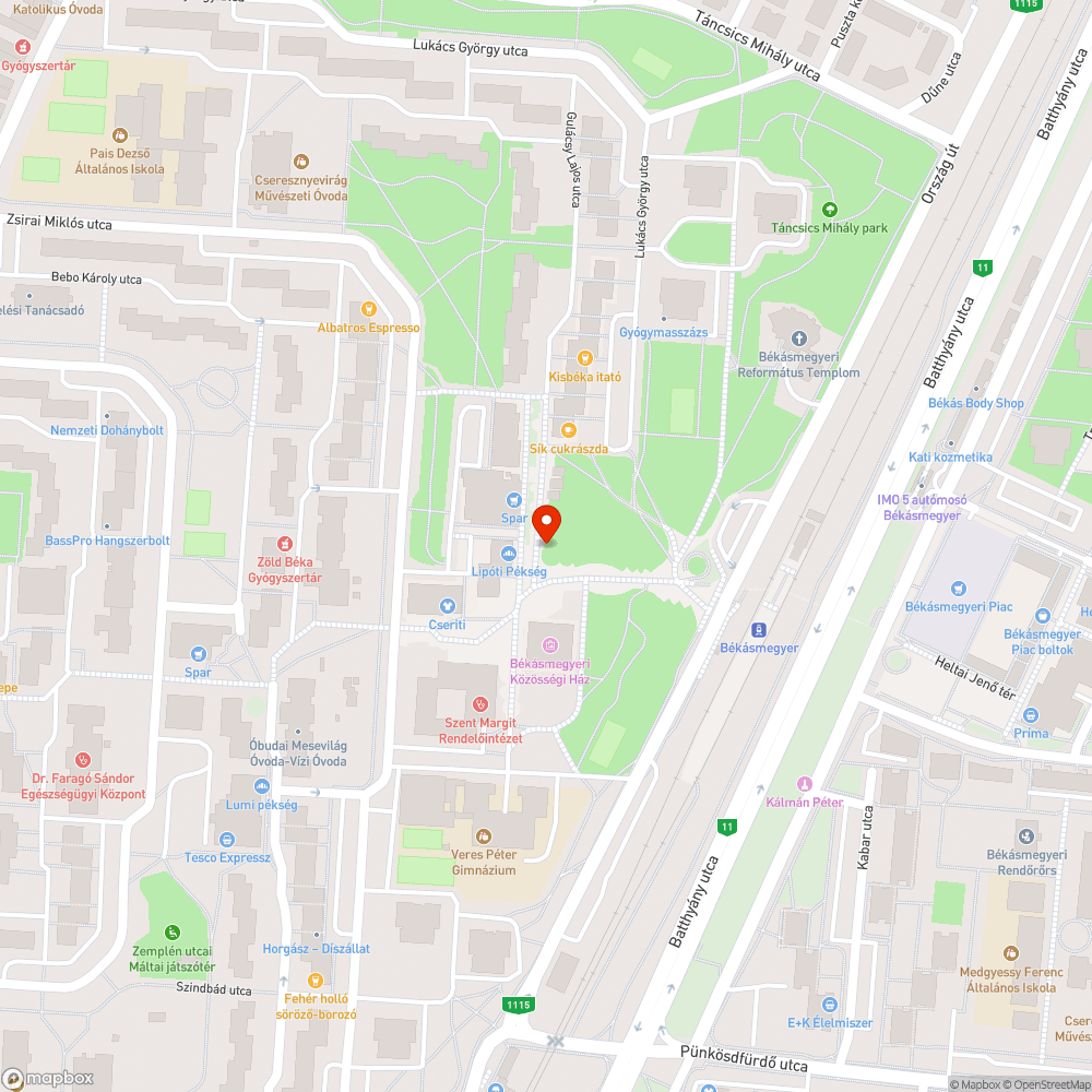 Botlásveszélyes bejelentés helye