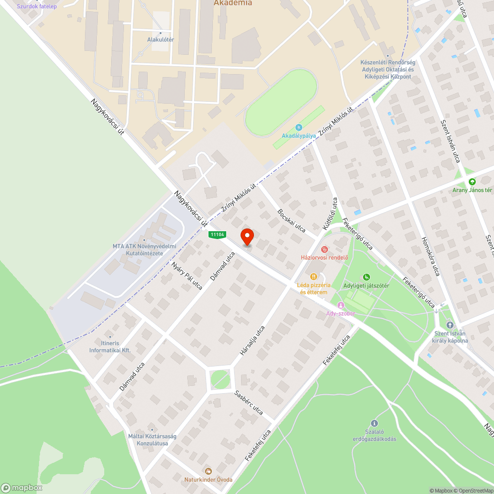 A branch which may cause danger bejelentés helye