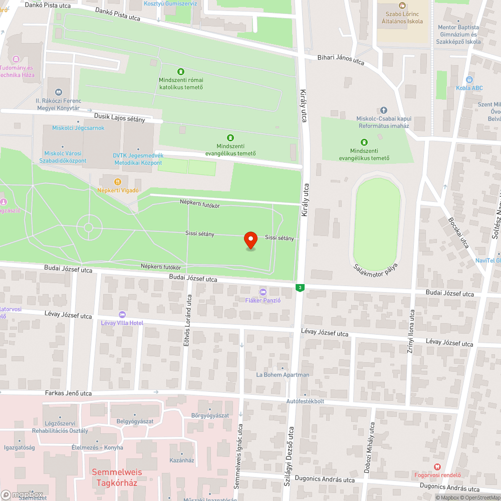 Hiányzó létrafok a népkerti nagy játszótéren bejelentés helye