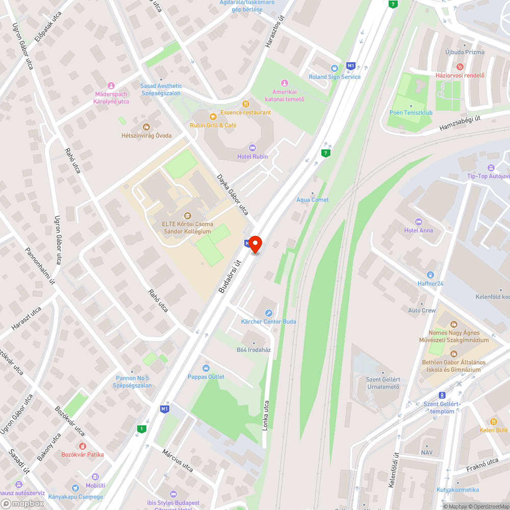 Rendezetlen, szemetes zöldterület a buszmegálló mellett bejelentés helye