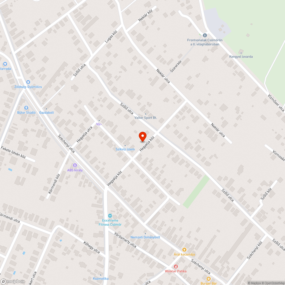 Kiégett lámpa a Hegyalja közben bejelentés helye