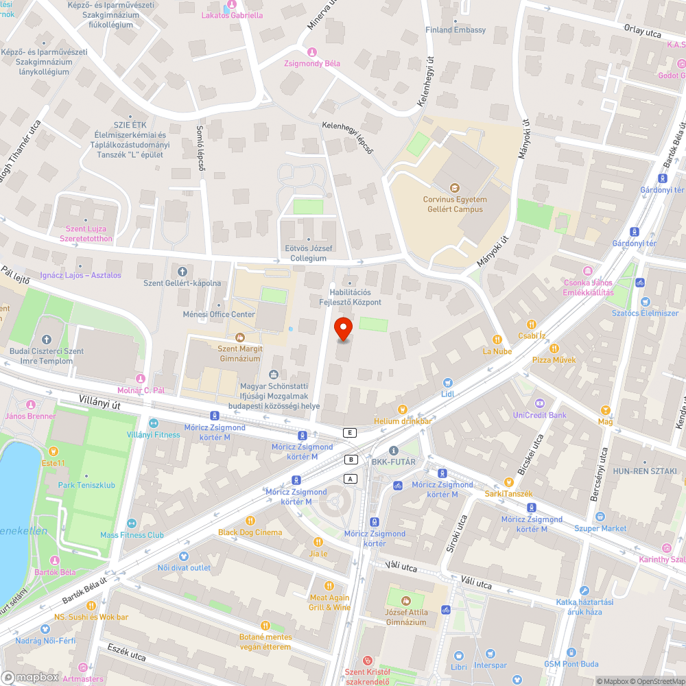 Kiszaradt fa bejelentés helye