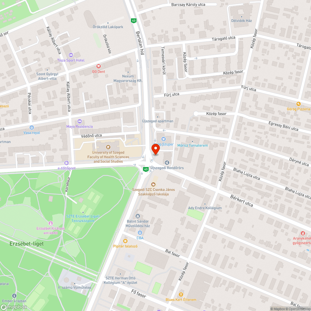 Elhagyott autógumik bejelentés helye