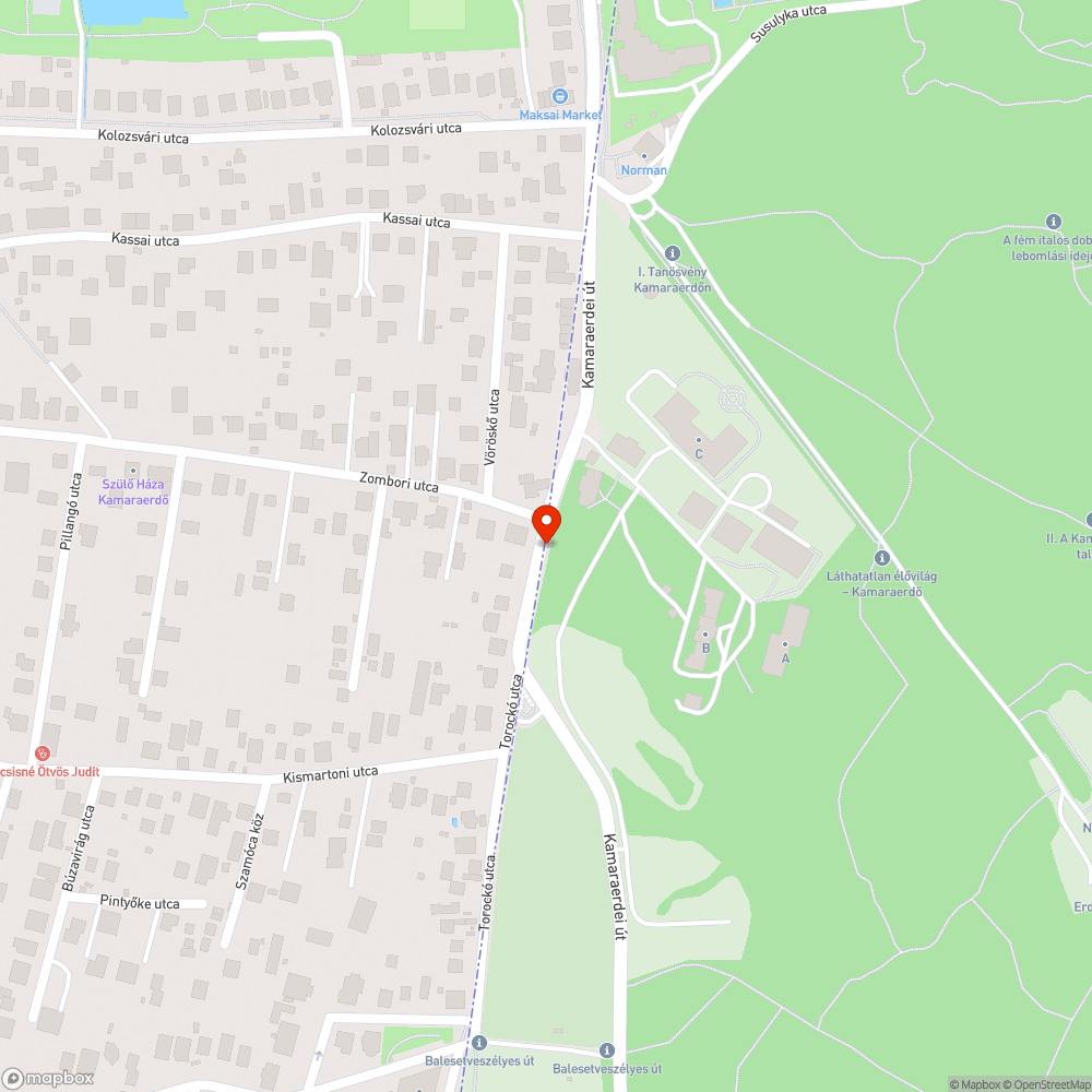 Kamaraerdei út, életveszélyes járdaszakasz bejelentés helye