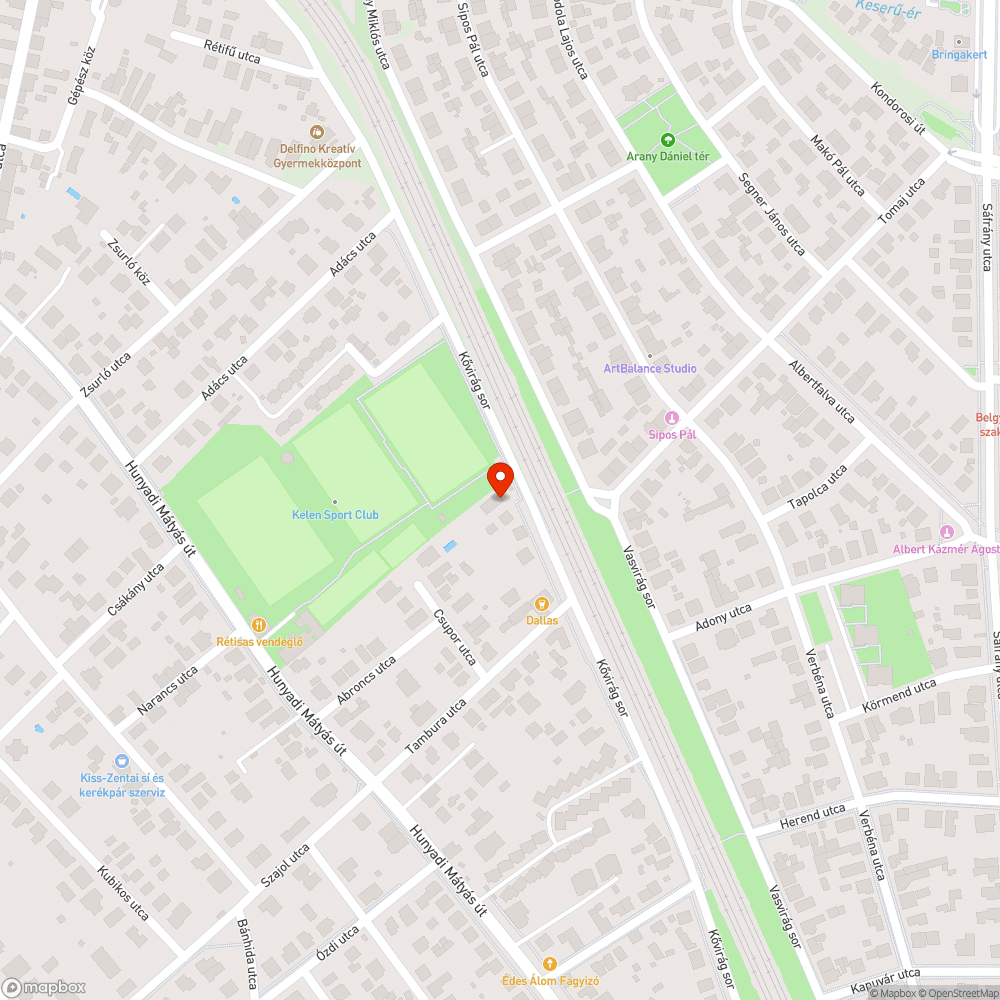 Javasolt közlekedési tükör a Kővirág soron bejelentés helye