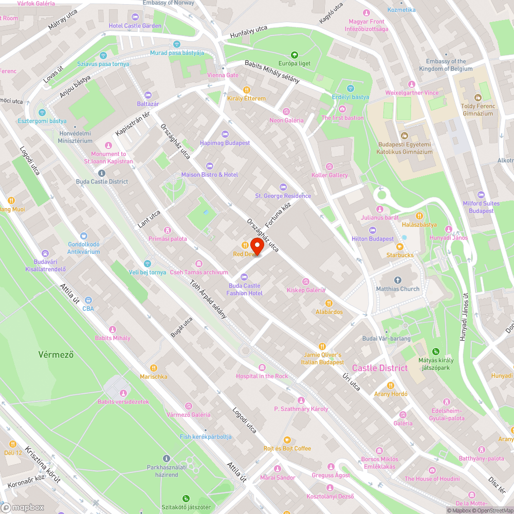 Kiégett közvilágítási lámpa bejelentés helye