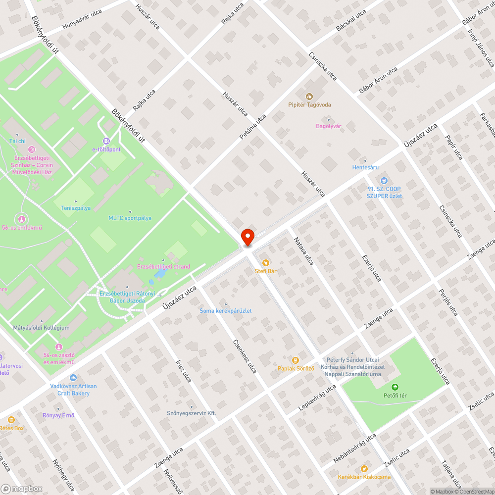 Eldugult víznyelő (Újszász-Bökényföldi) bejelentés helye