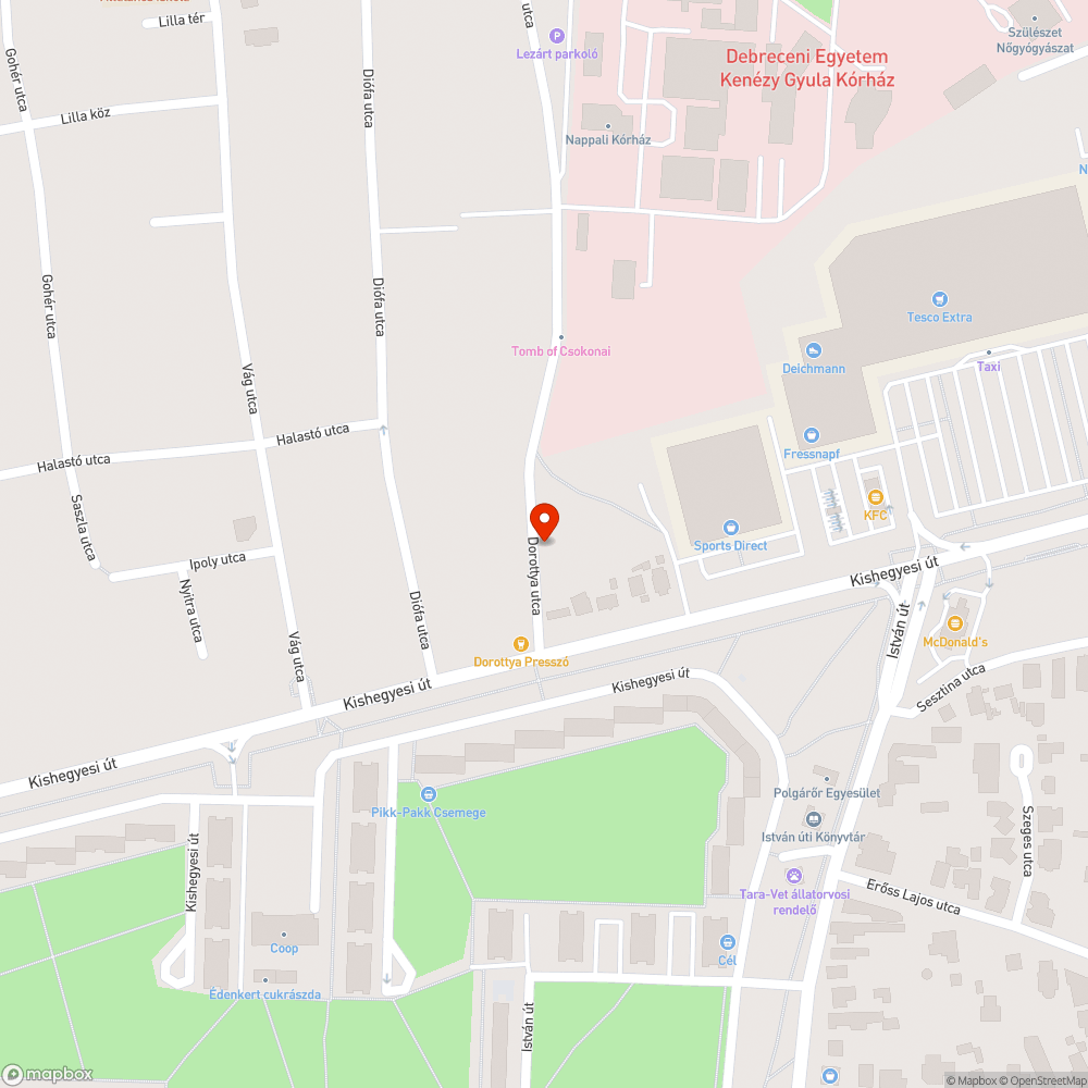 Hajléktalanszálló a Dorottya utcán (Debrecen) bejelentés helye