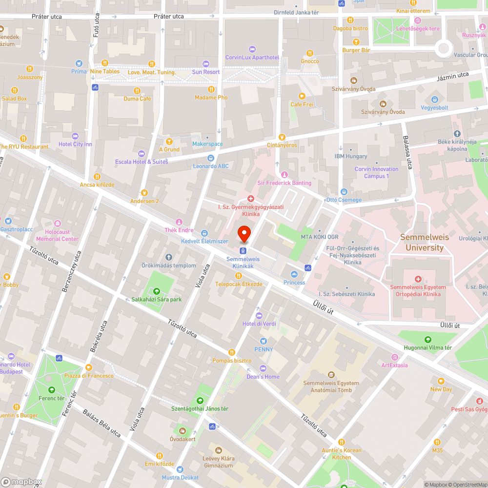 Falevélben úszik a Klinikák Bubi állomás bejelentés helye