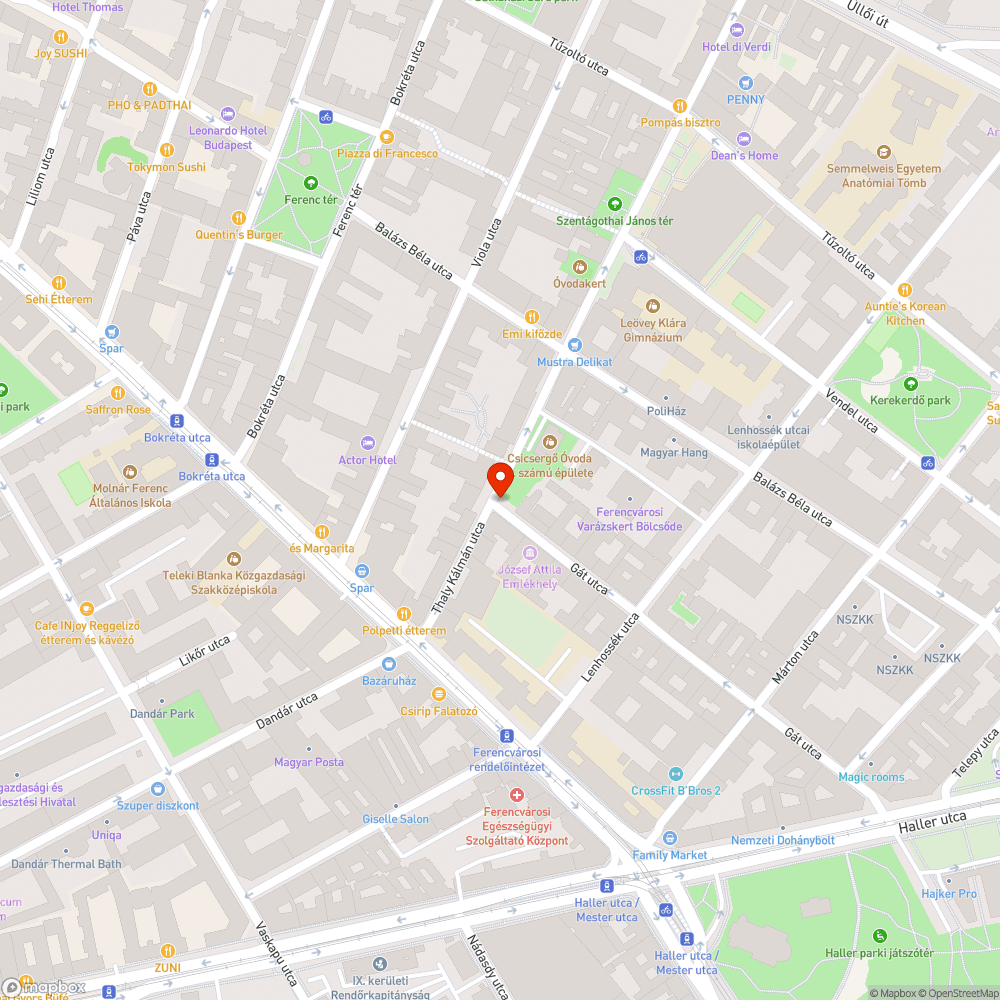 Folyik a tűzcsap bejelentés helye