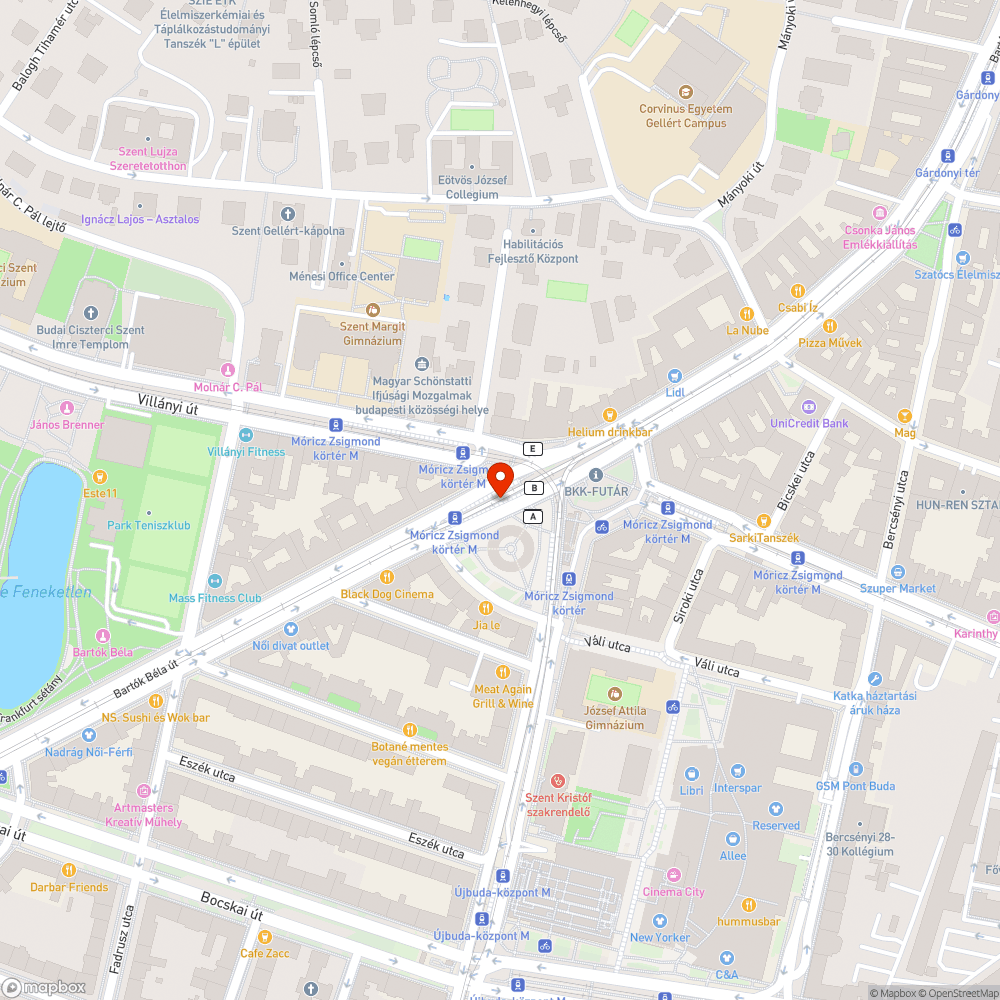 Megtelt szemetes kuka bejelentés helye