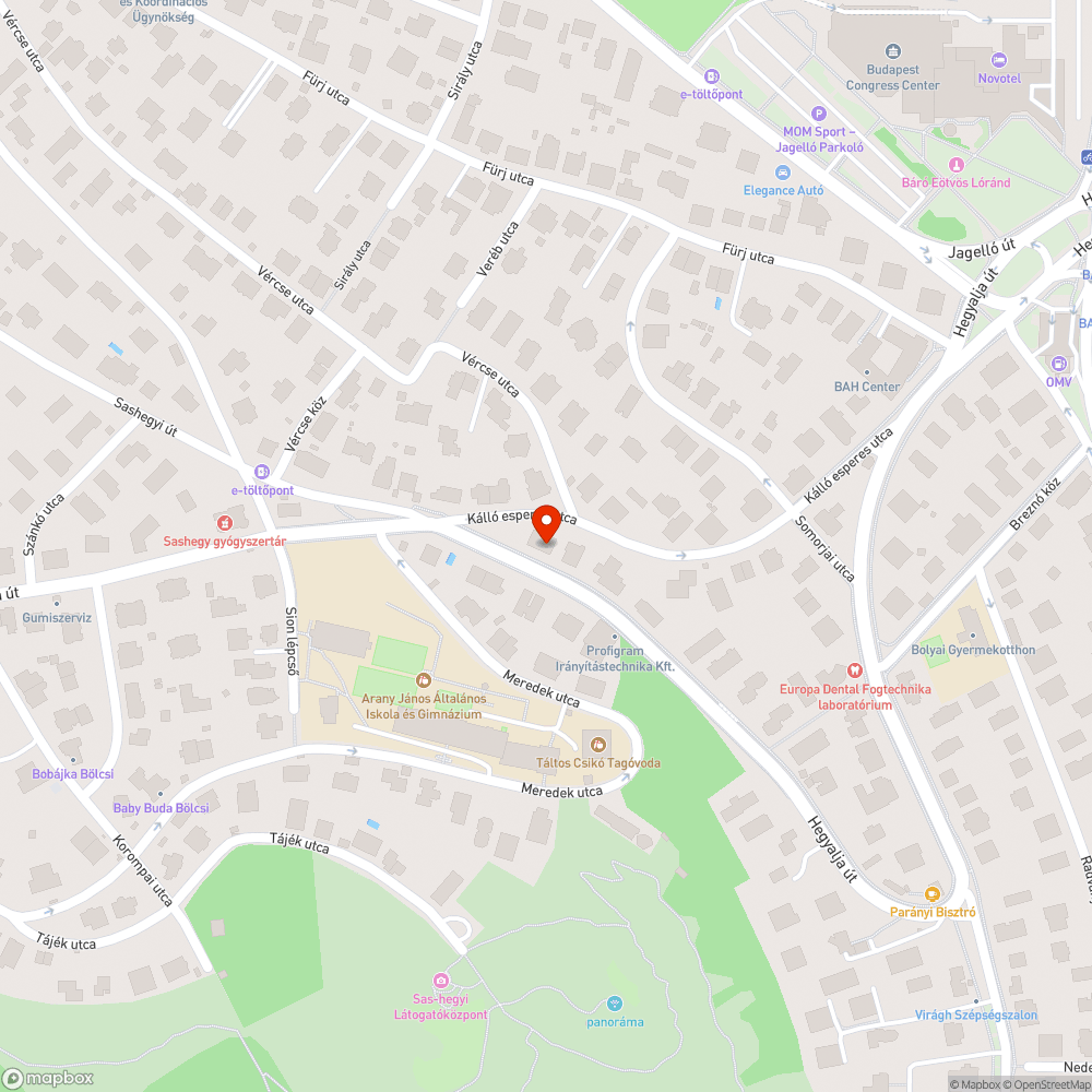 Hegyalja út_járdahibák bejelentés helye