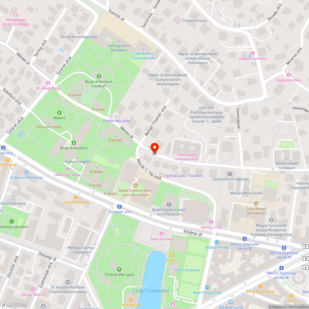 Hiányzó kopóréteg bejelentés helye