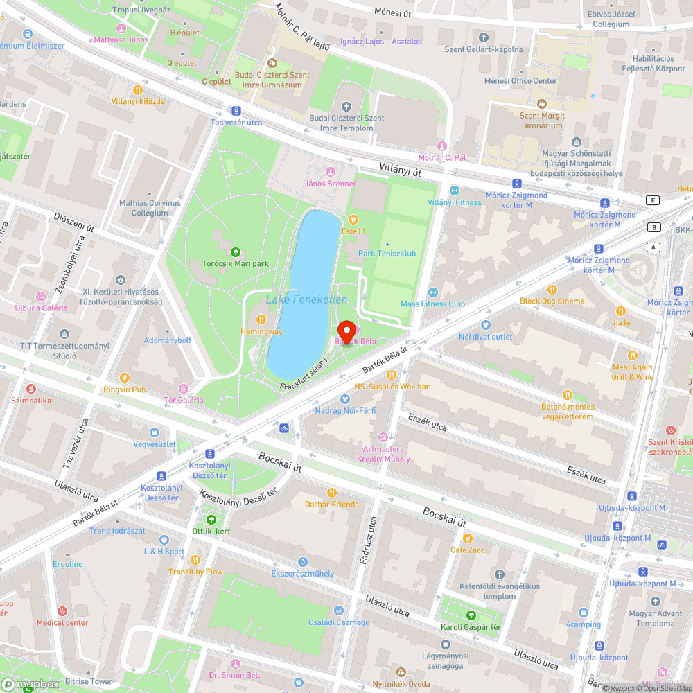 Fára dobált szemét bejelentés helye