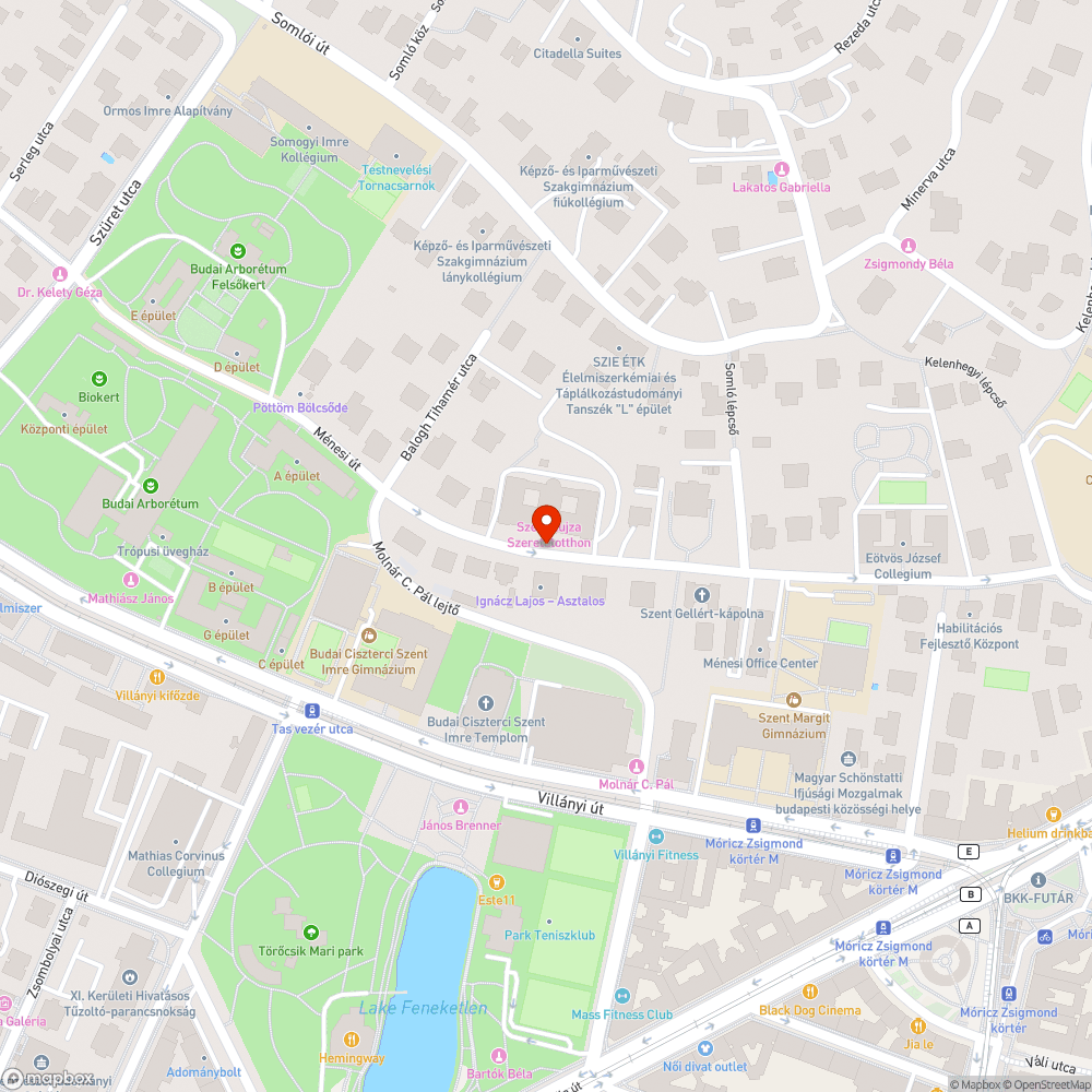 Járdára és úttestre belógó autó bejelentés helye