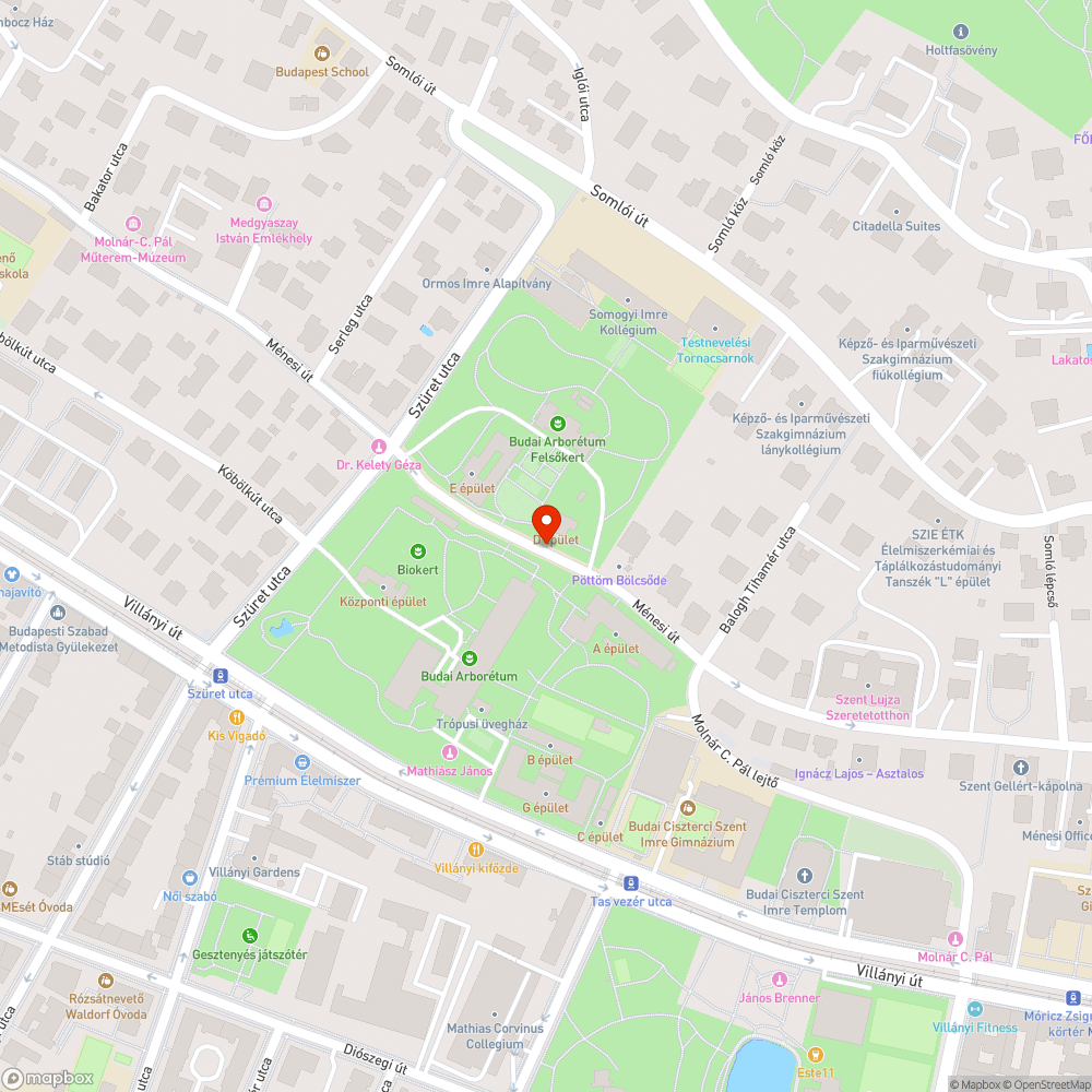 Takarítatlan úttest bejelentés helye