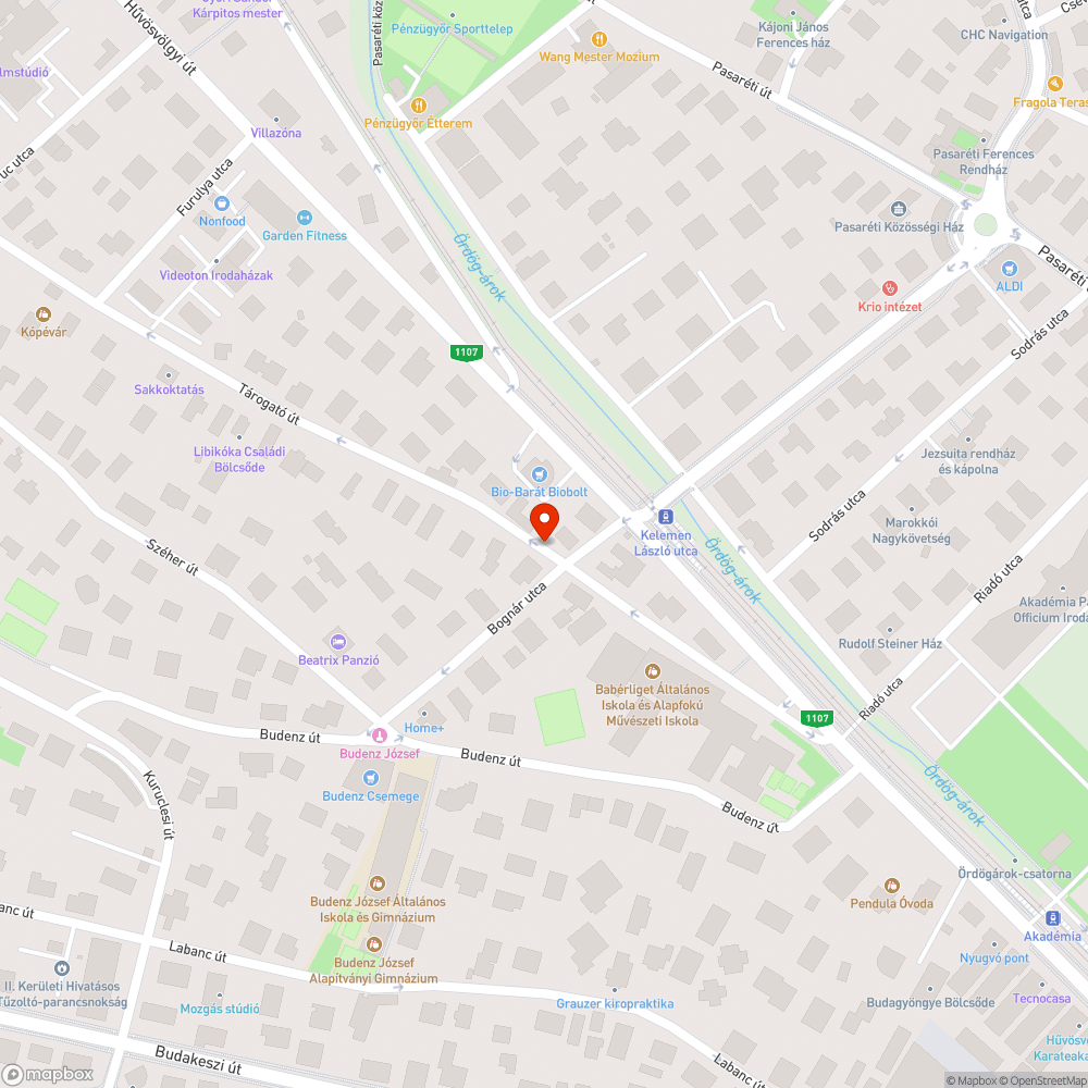 Járdán burjánzó fa a Tárogató úton bejelentés helye