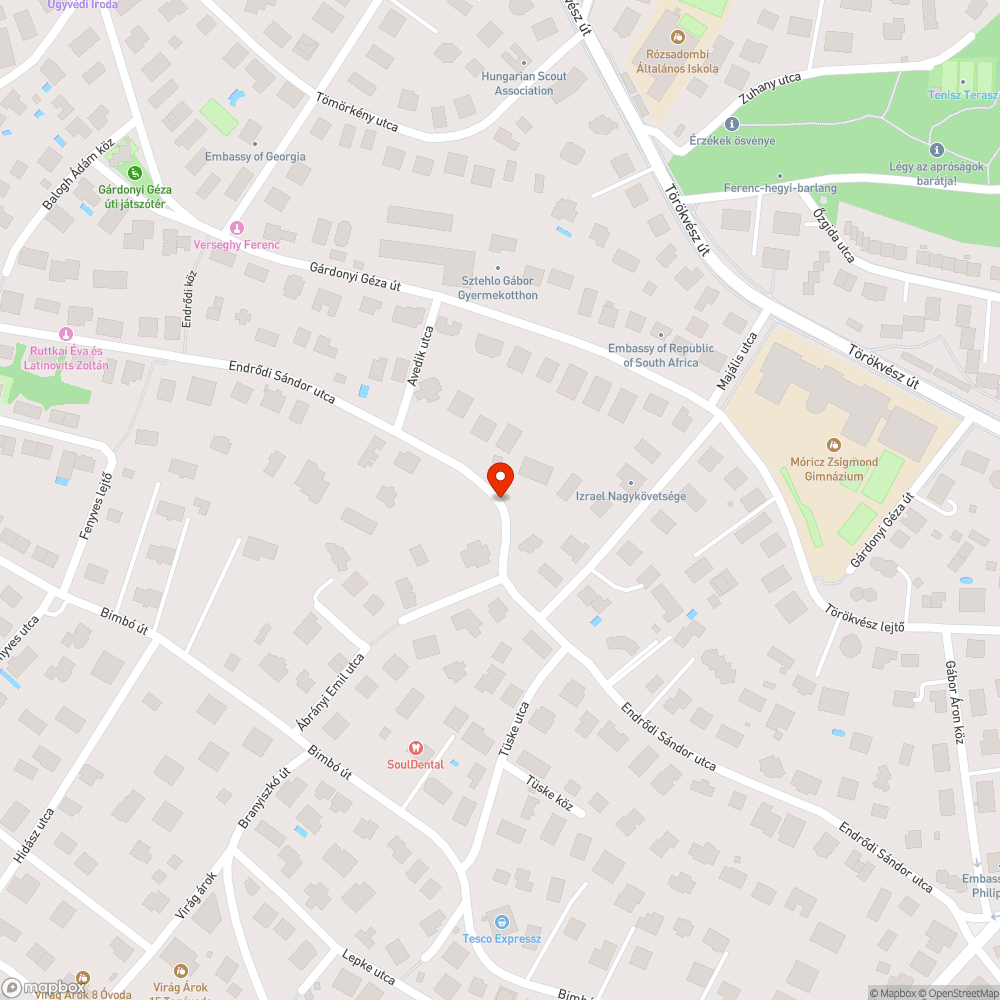 Lámpatest növénnyel benőtt, és védőbúra hiányzik bejelentés helye