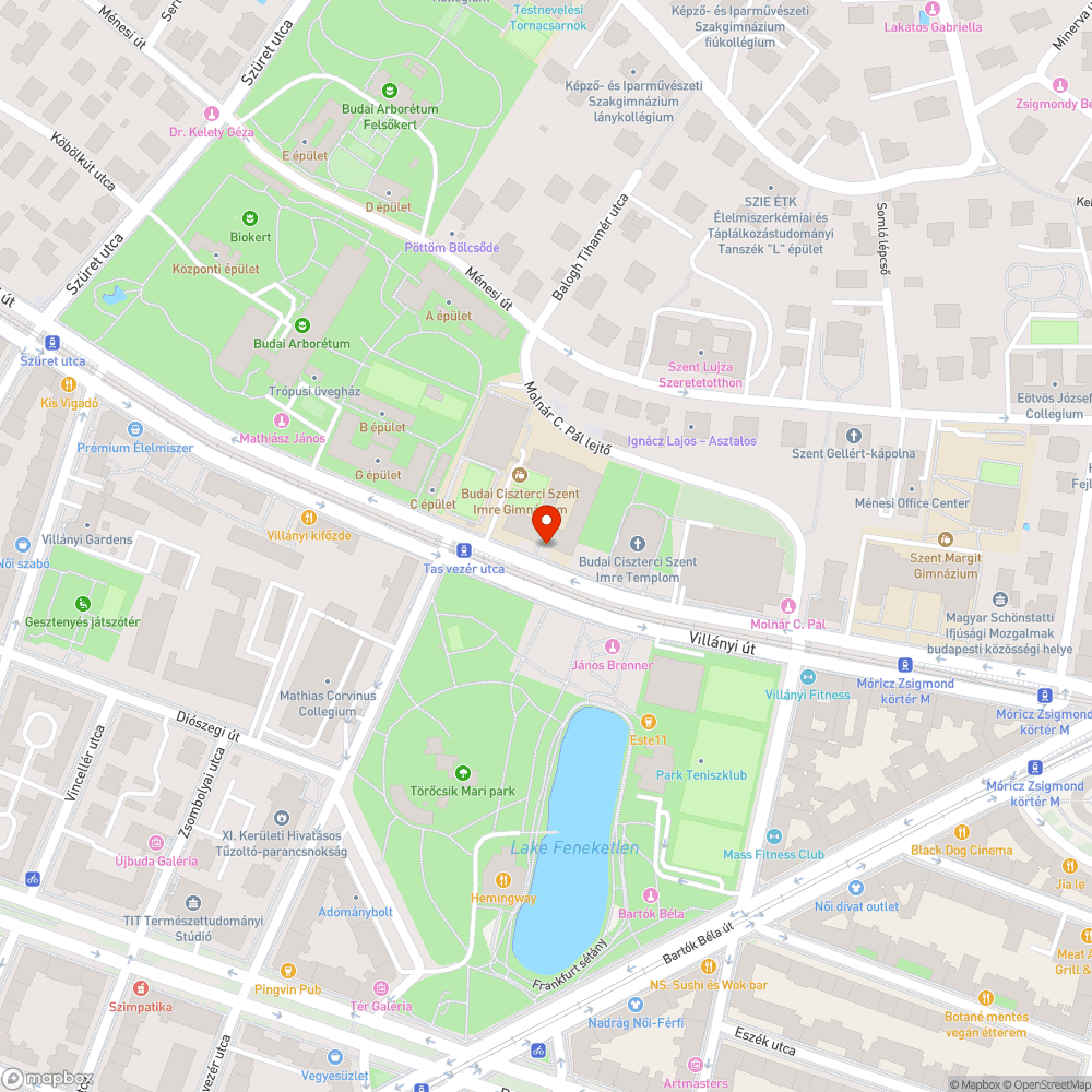 Parkolóhely egy gyalogátkelőhely közvetlen közelében. bejelentés helye