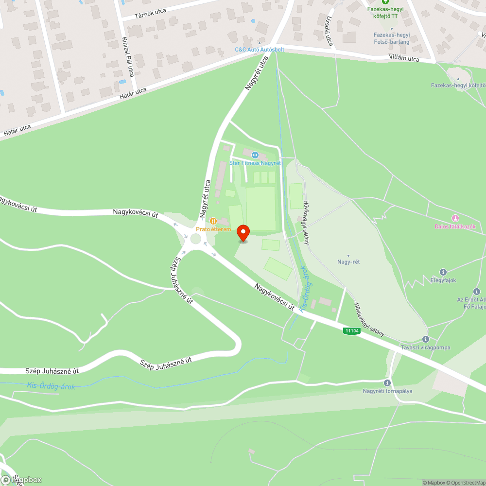 Pumpapályát a hűvösvölgyi Nagy-rétre bejelentés helye