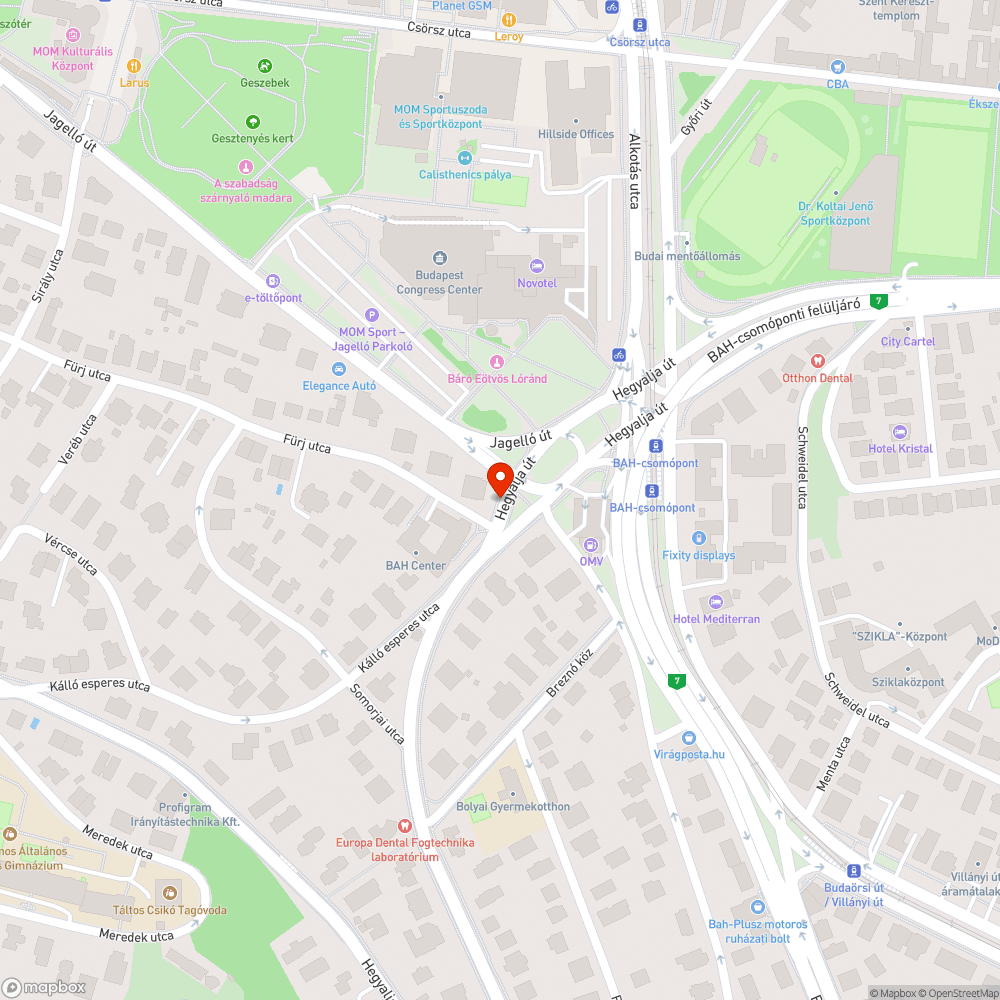 Kosz és fenyőfa bejelentés helye