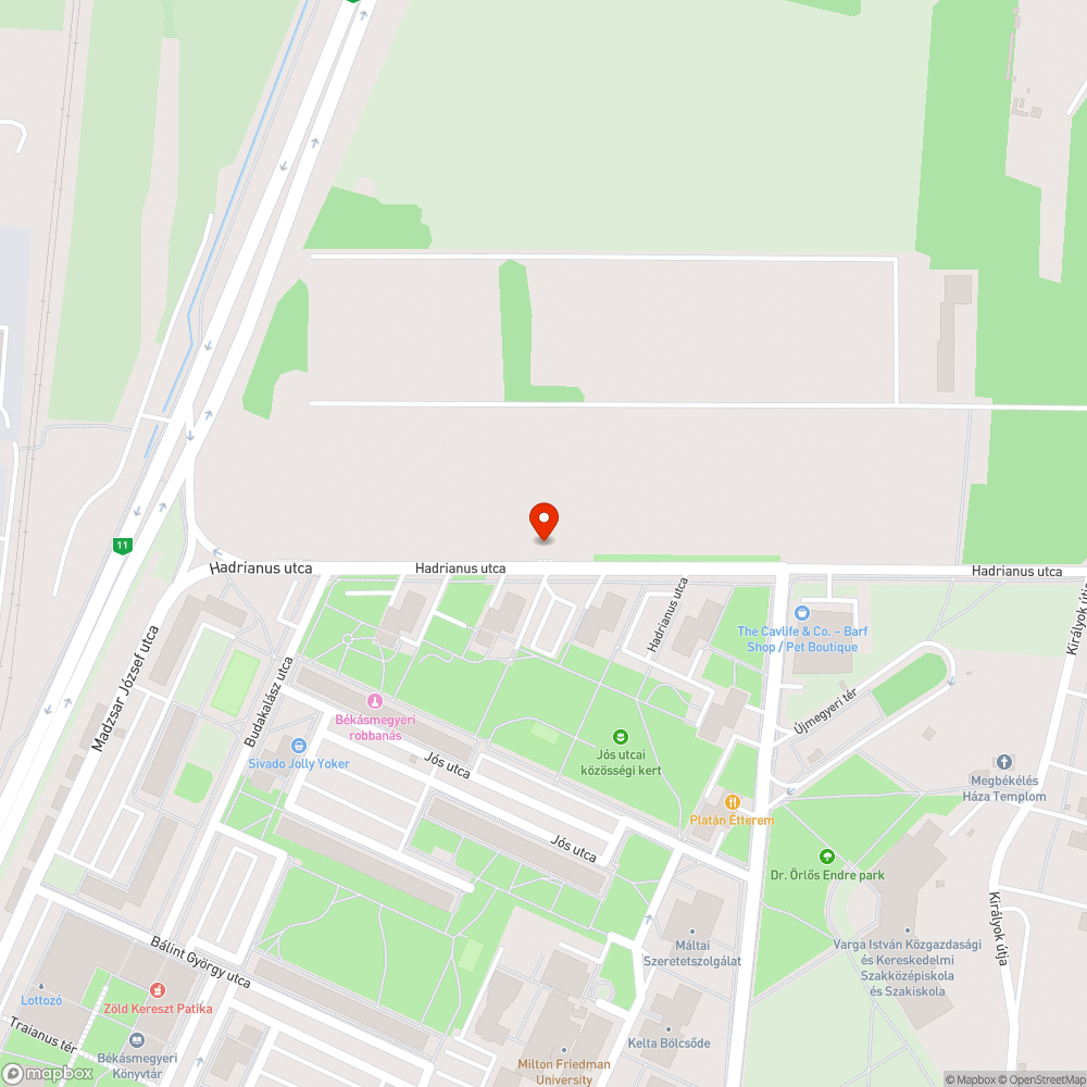 Buszmegálló - infrastruktúra nélkül bejelentés helye