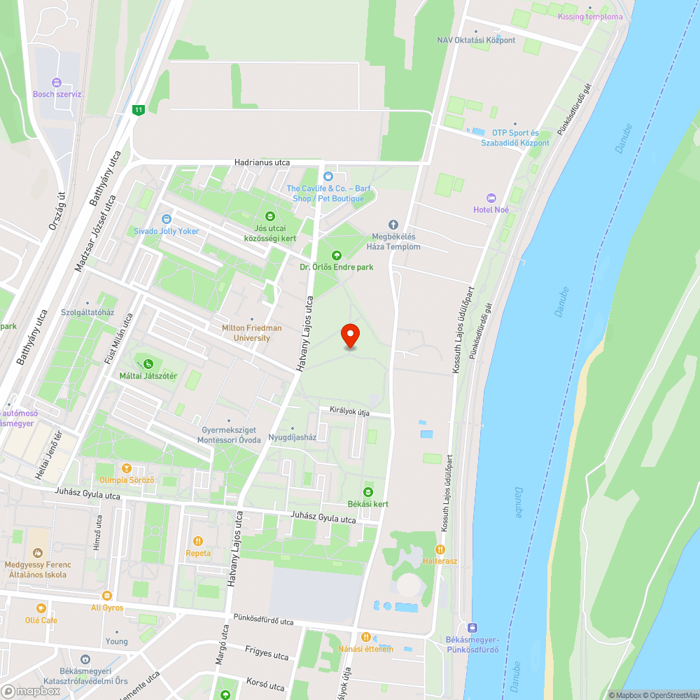 Kiszáradt, kidőlt fa bejelentés helye