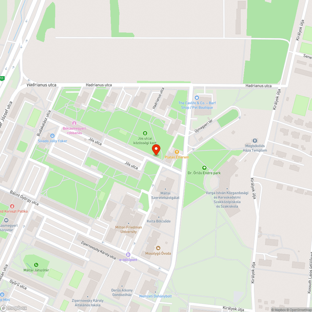 Botlásveszélyes járda bejelentés helye