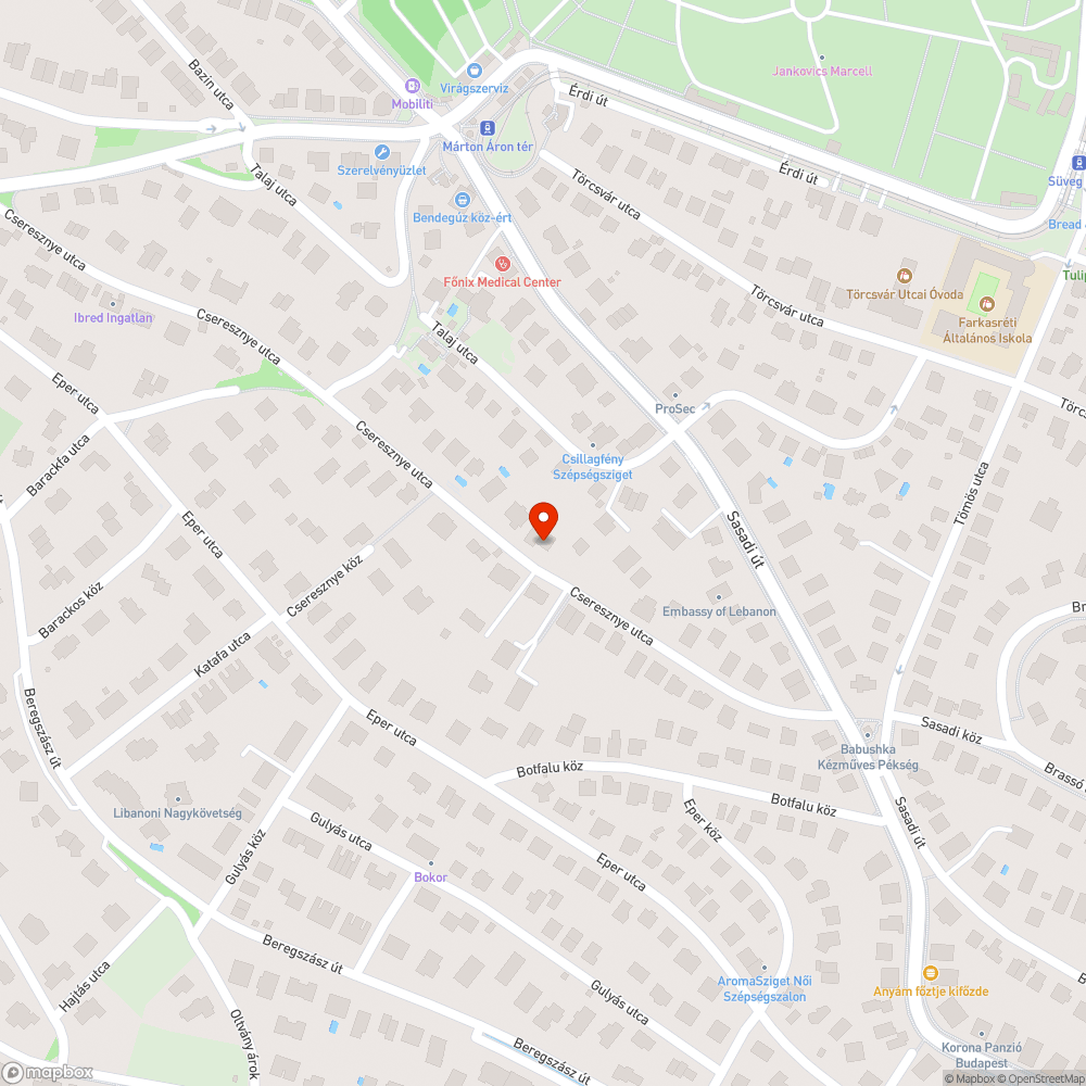 kidobott fenyőfák az utcán bejelentés helye