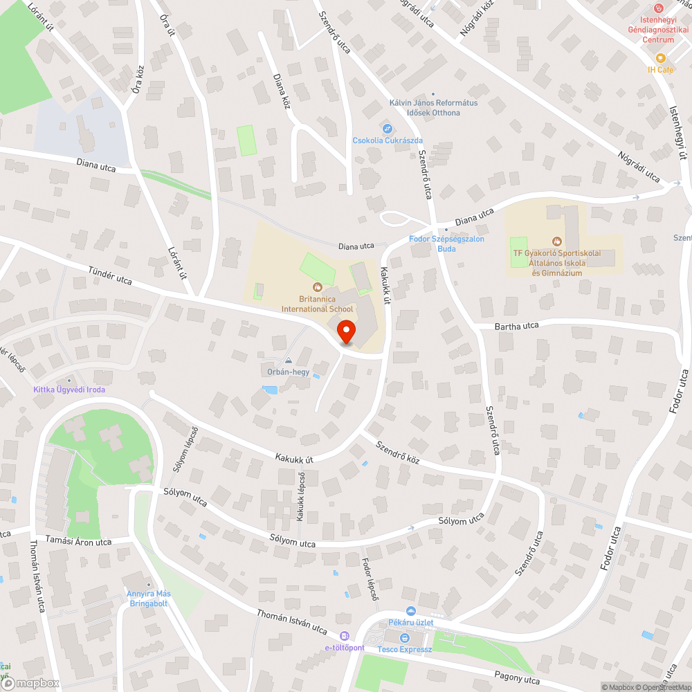 Kidöntött tűzcsap bejelentés helye