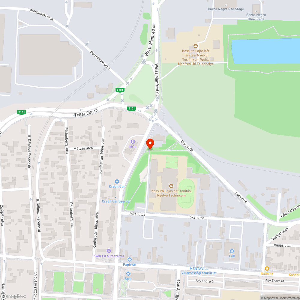 Kerékpárútra dőlt fa bejelentés helye