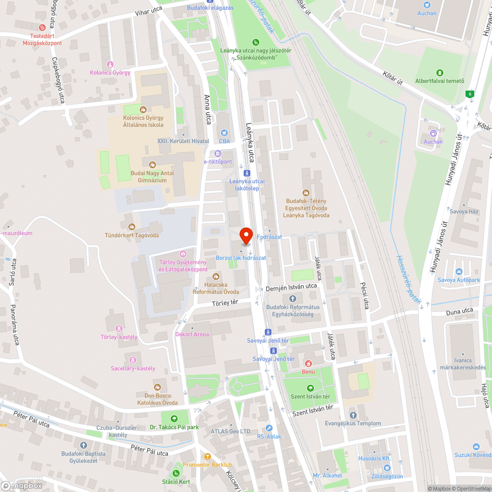 Szemetet rejt a Leányka bokra bejelentés helye