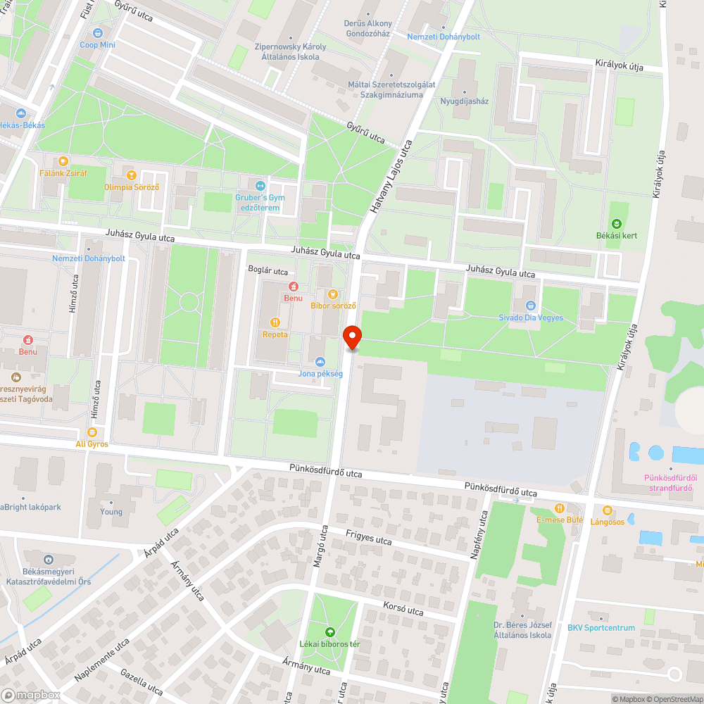 Nagy mennyiségű avar és szemét a járdán bejelentés helye