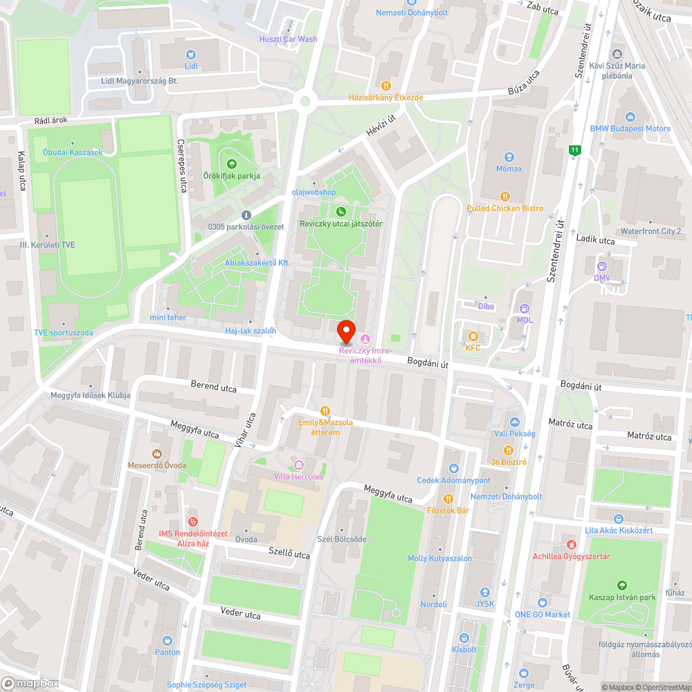 Járdát elfoglaló bokor bejelentés helye