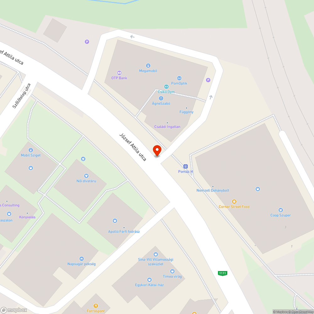 Zebra hiánya, úton átszaladó gyalogosok bejelentés helye