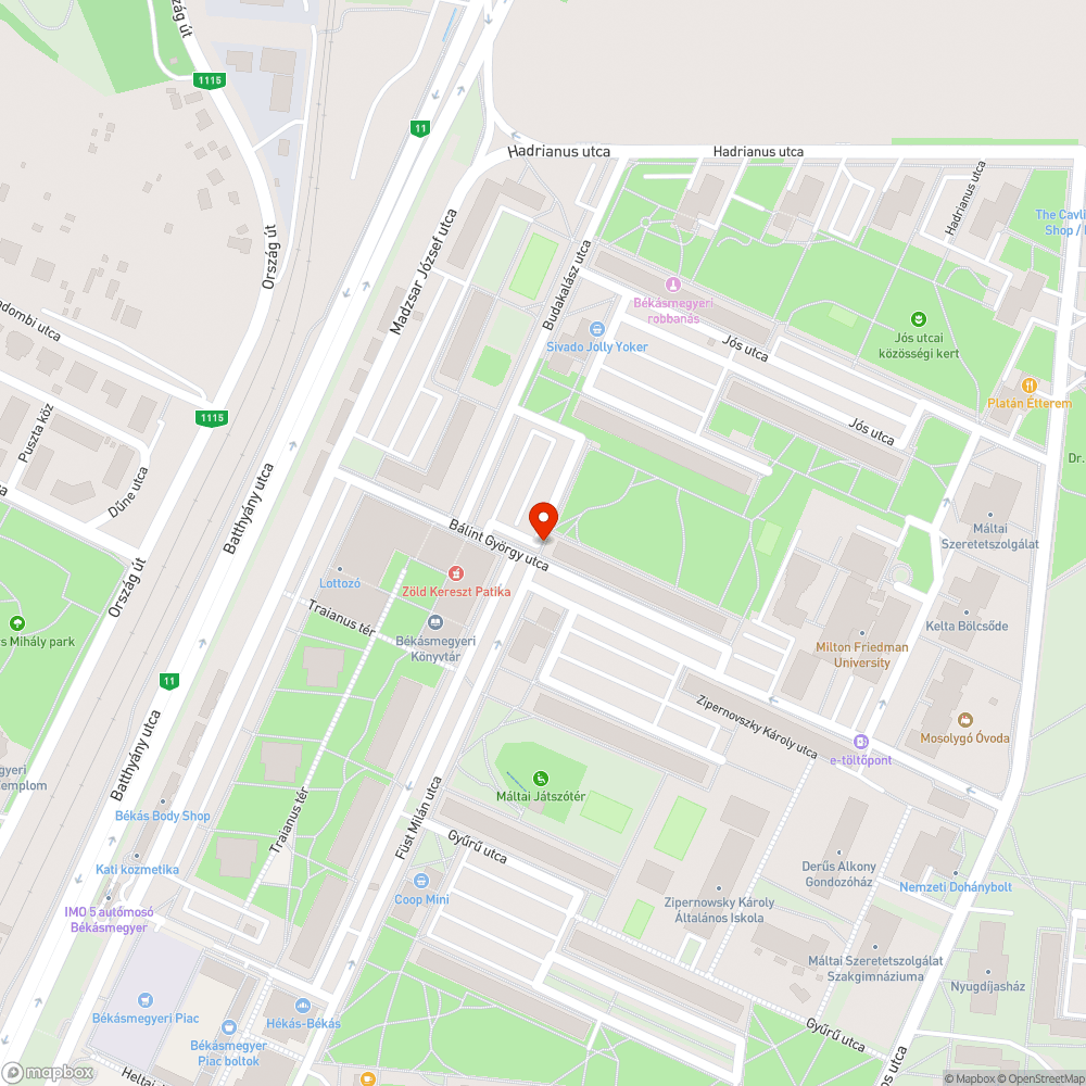 Kidőlt fa bejelentés helye