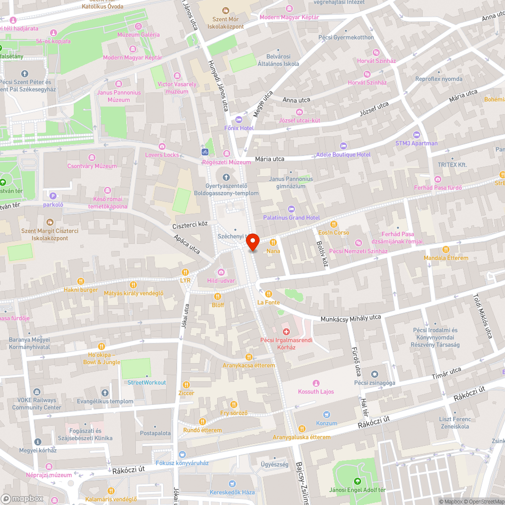 Nem müködik a Széchenyi téri élö webkamera! bejelentés helye