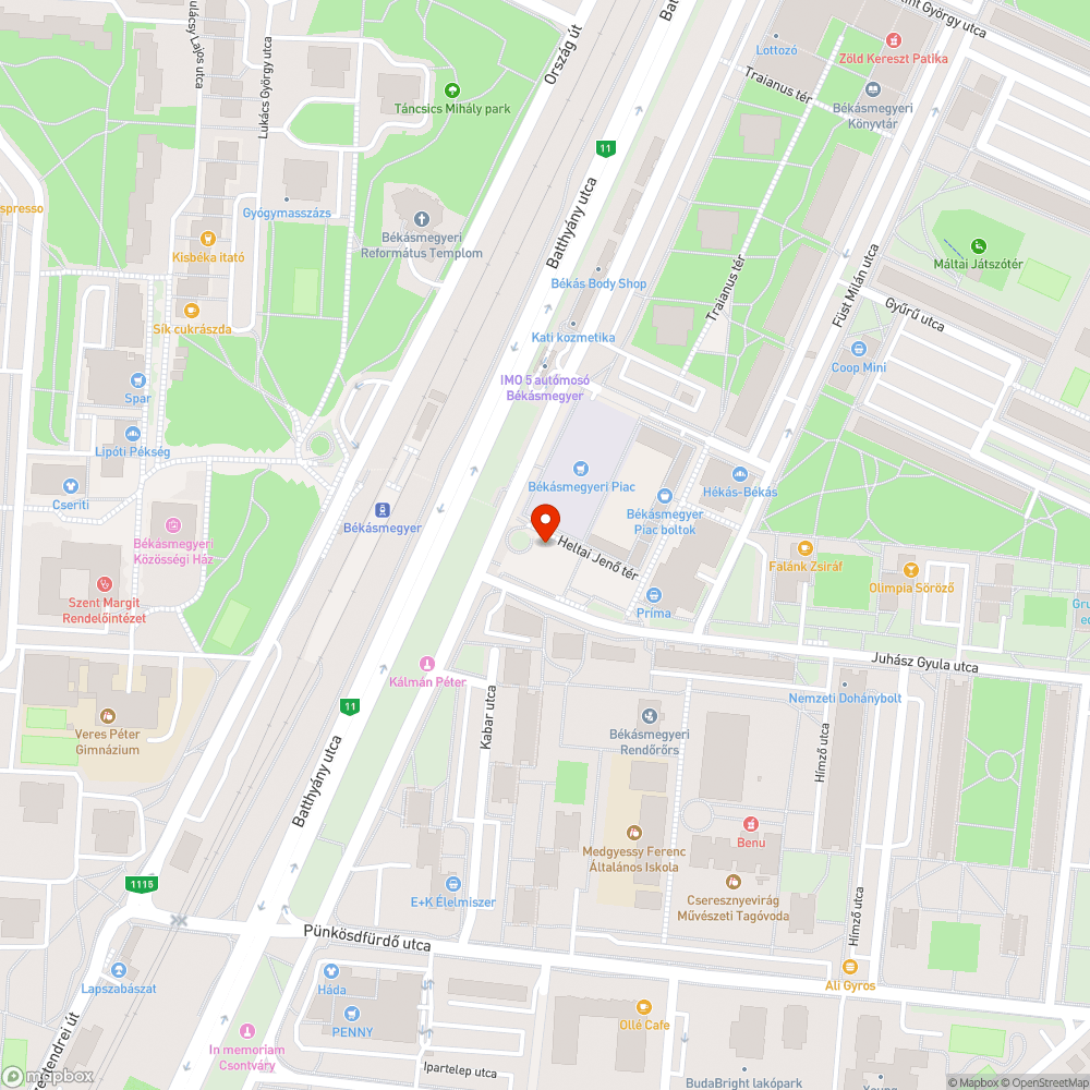 Kivágott fa bejelentés helye