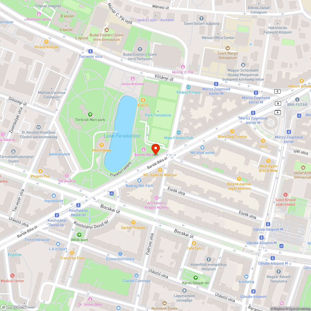 fenyőfák a járdán - Bartók Béla út 65 bejelentés helye