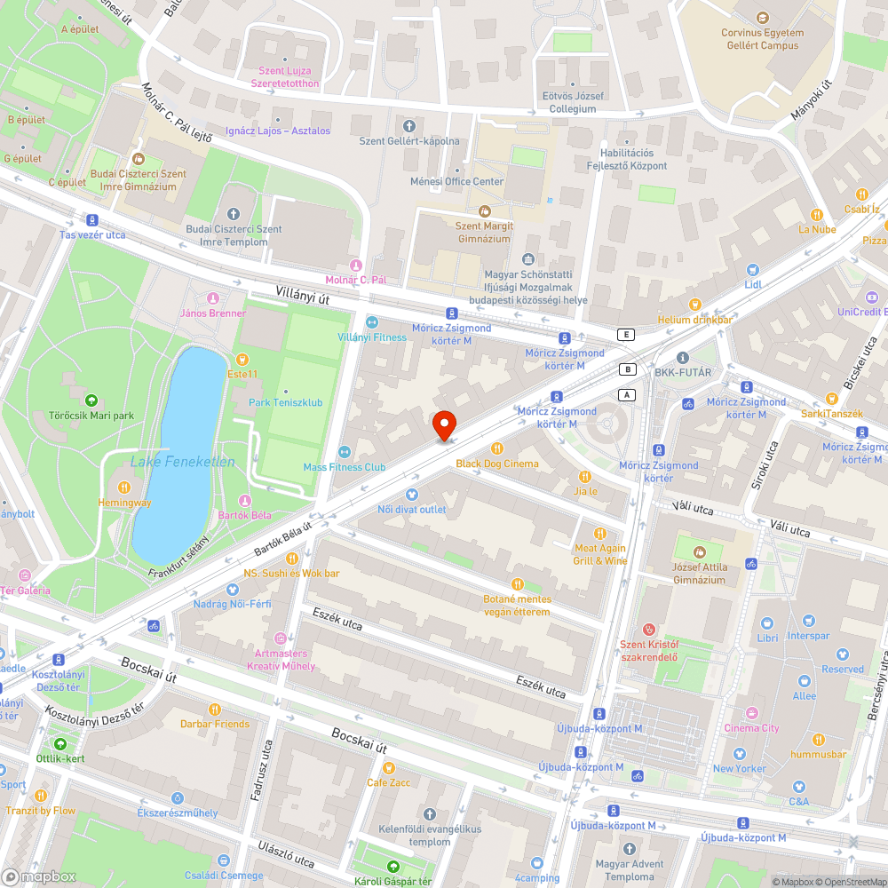 Hiányzó fák bejelentés helye