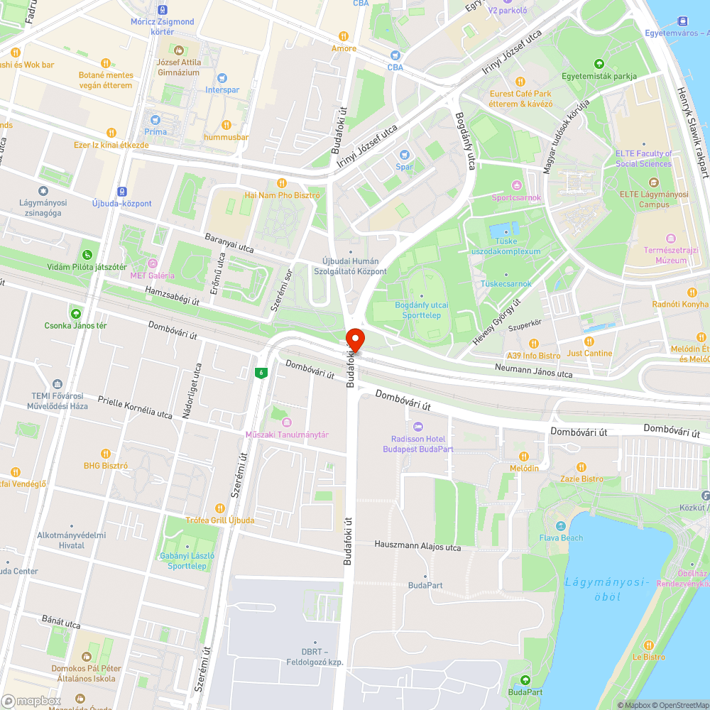 Járda melletti zöldterület elhanyagolt, szemetes bejelentés helye