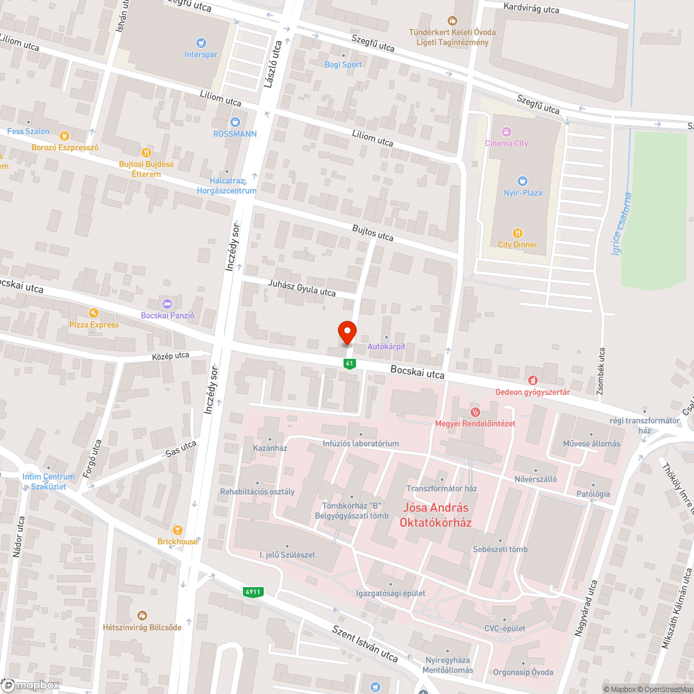 Rendezetlen zöldfelület bejelentés helye